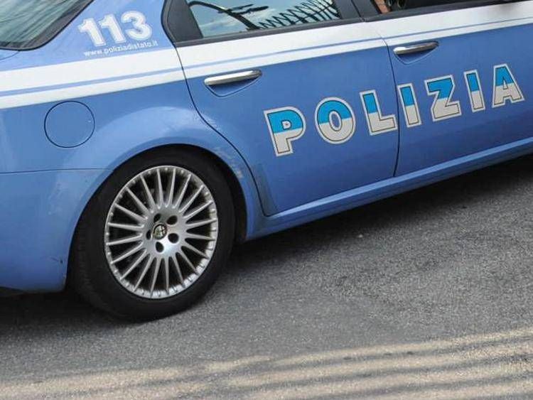 Auto della polizia (Fotogramma)